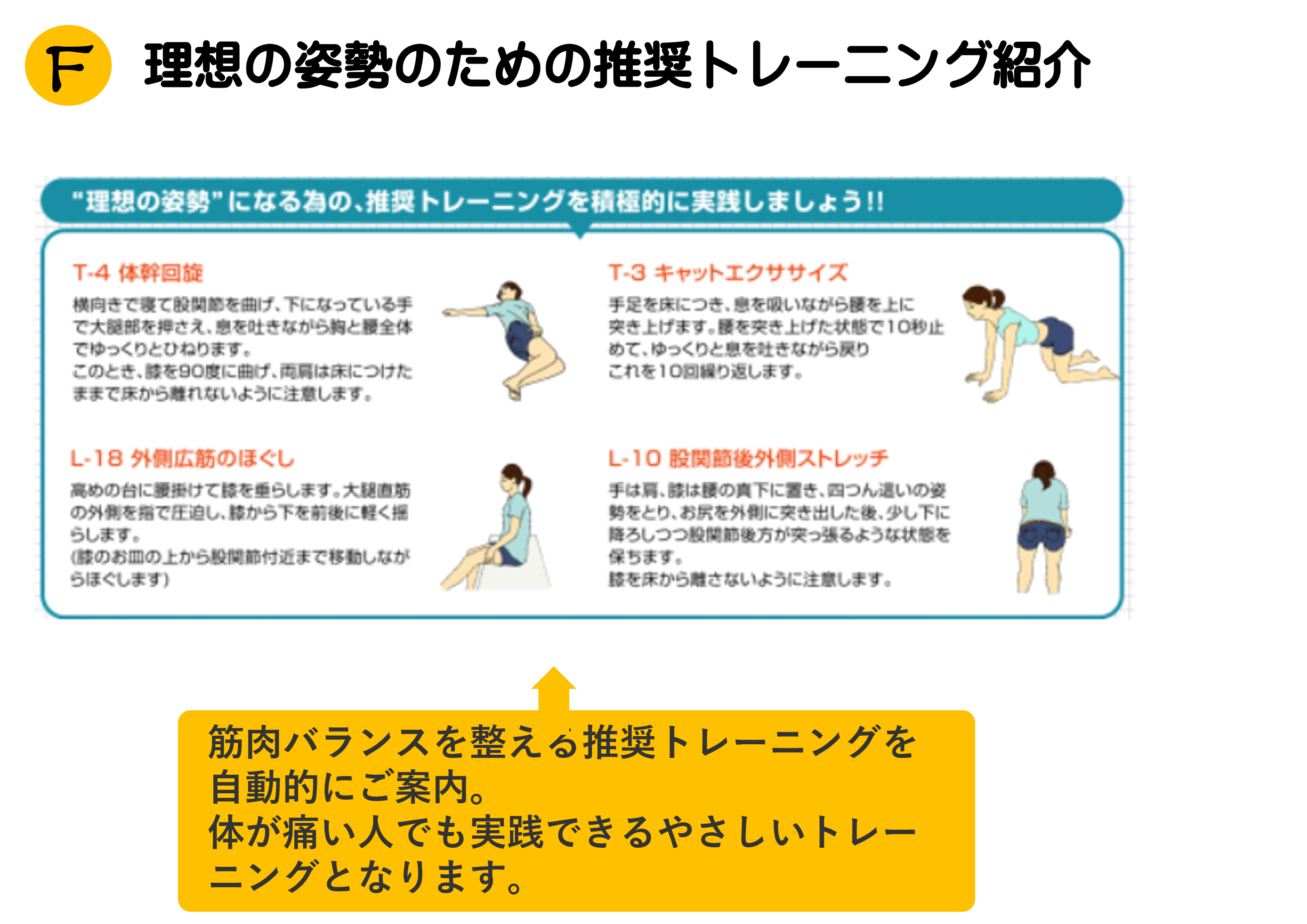 筋肉測定レポートF